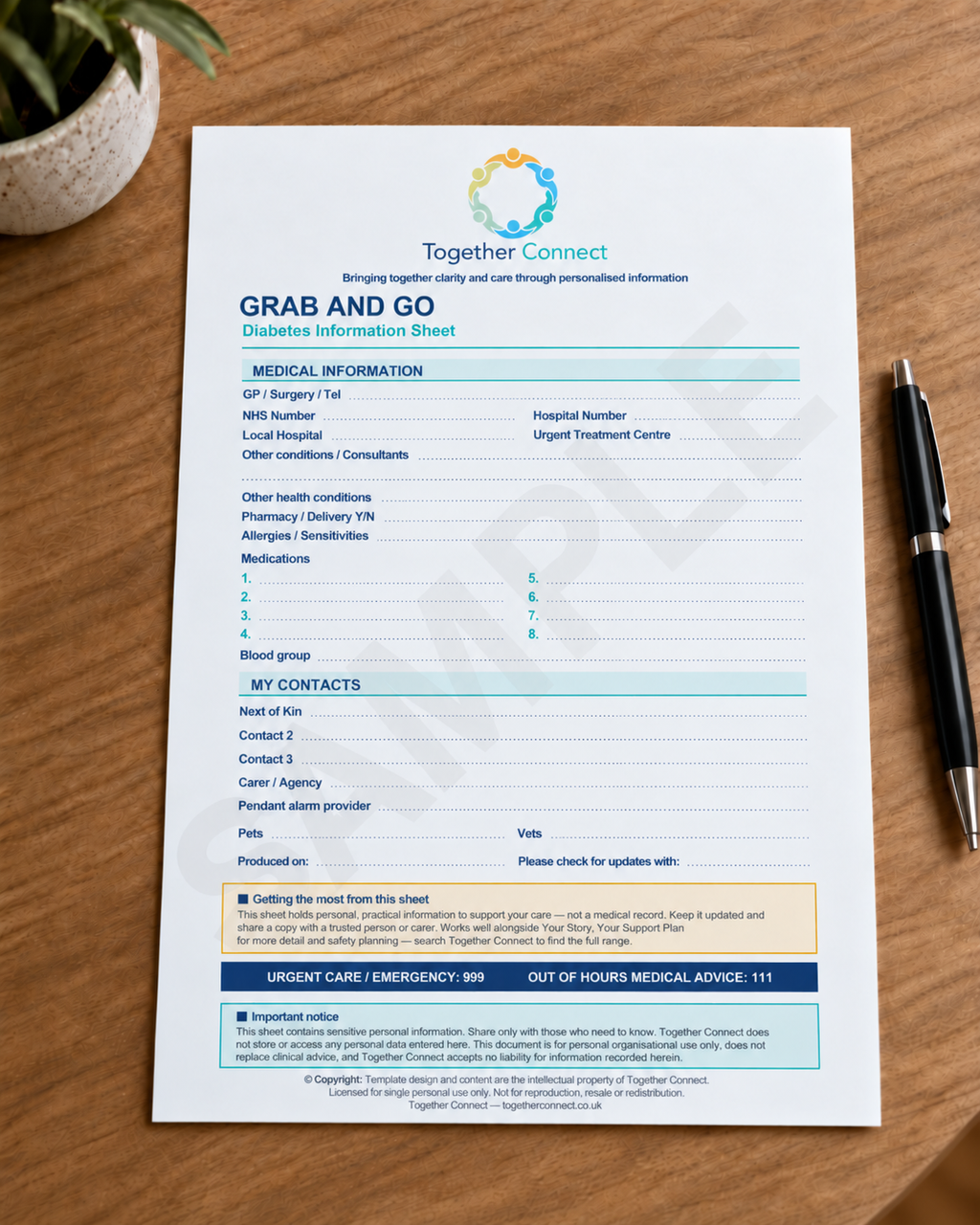 Back of printable diabetes information sheet