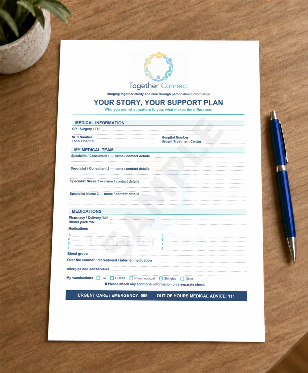Printable personal support plan for individuals, families and carers